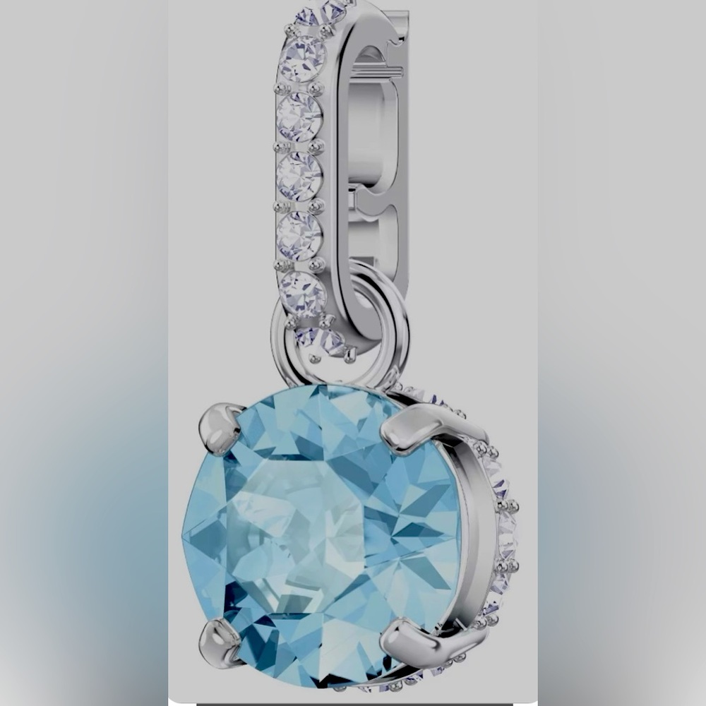 Swarovski Crystal Charm